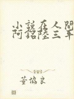 小说在人间采薇阿铭陆三平免费阅读