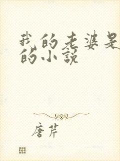 我的老婆是总裁的小说