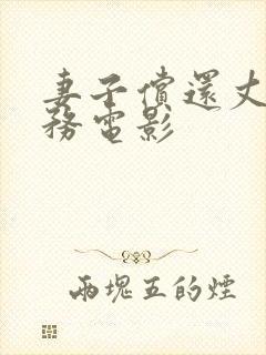 妻子偿还丈夫债务电影