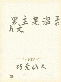 男主是温柔型的h文