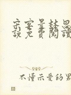 宋宴晨林思微小说免费阅读最新章节