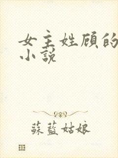 女主姓顾的现代小说封面