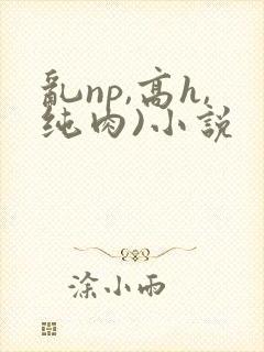 乱np,高h,纯肉)小说