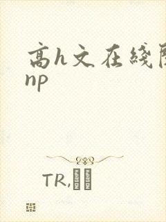 高h文在线阅读np