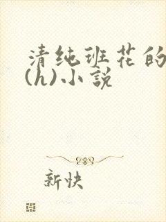 清纯班花的灌肠(h)小说