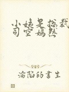 小姨是总裁叶凡司空嫣然封面