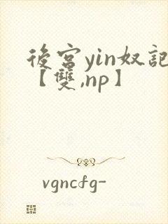 后宫yin奴记【双,np】