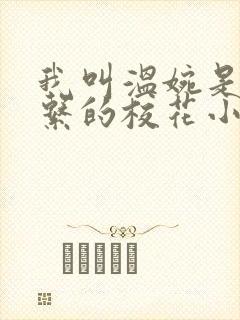 我叫温婉是舞蹈系的校花小说