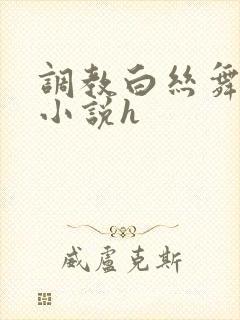 调教白丝舞蹈生小说h封面