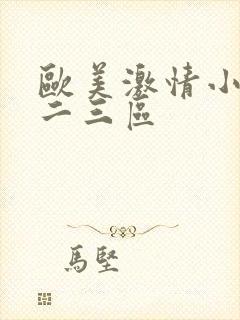 欧美激情小说一二三区