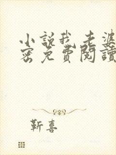 小说我老婆的秘密免费阅读封面