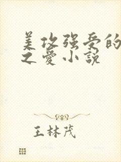 美攻强受的囚笼之爱小说封面