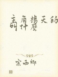 主角杨天的小说叫什么