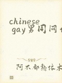 chinese gay男同网站