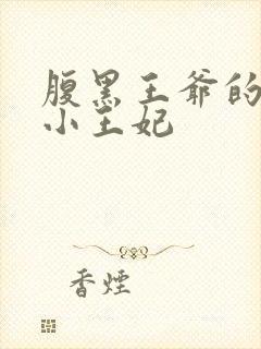 腹黑王爷的调皮小王妃