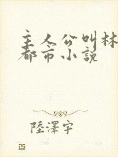 主人公叫林萧的都市小说封面