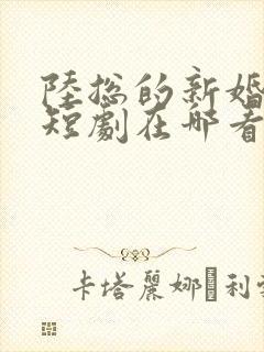 陆总的新婚哑妻短剧在哪看