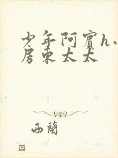 少年阿宾h小说房东太太