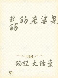 我的老婆是重生的