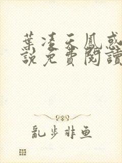 叶凌天凤惑君小说免费阅读