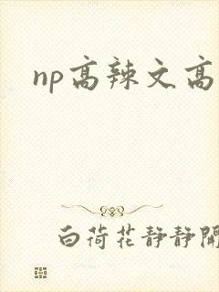 np高辣文高h