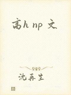 高h np 文