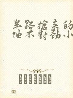 半路抢来的夫君他不对劲小说