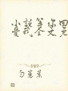 小说等你回眸说爱我全文免费阅读封面