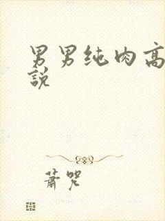 男男纯肉高被小说