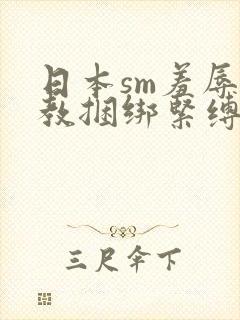 日本sm羞辱调教捆绑紧缚