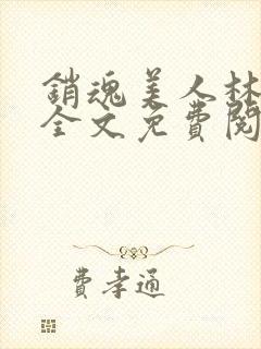 销魂美人林婷婉全文免费阅读小说封面