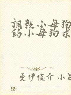 调教小母狗 操的小母狗求饶