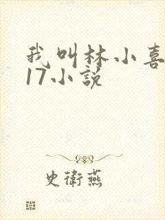 我叫林小喜今年17小说