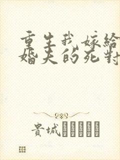 重生我嫁给了未婚夫的死对头