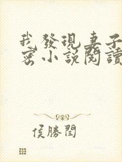 我发现妻子的秘密小说阅读封面