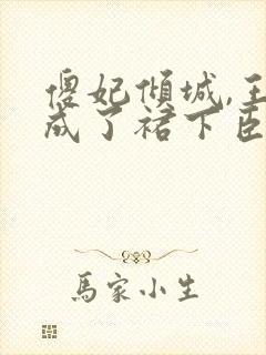 傻妃倾城,王爷成了裙下臣阅读全封面