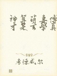 神算萌妻傅太太才是玄学真大佬易小升