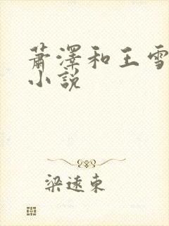 萧泽和王雪凤的小说