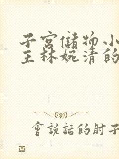 子宫储物小说女主林婉清的小说