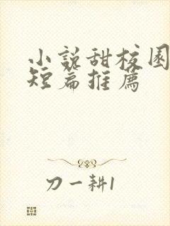 小说甜校园言情短篇推荐