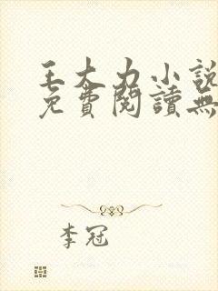 王大力小说小说免费阅读无弹窗