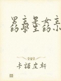 男主是女主父亲的学生的小说封面