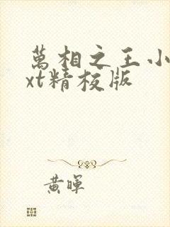 万相之王小说txt精校版