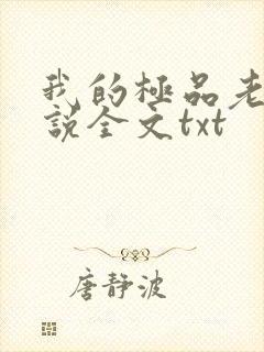 我的极品老婆小说全文txt