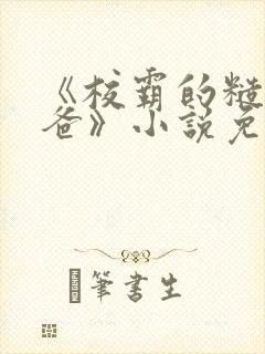 《校霸的糙汉爸爸》小说免费阅读