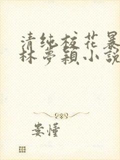 清纯校花暴露记林梦颖小说免费阅读