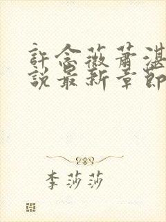 许念薇萧湛明小说最新章节更新