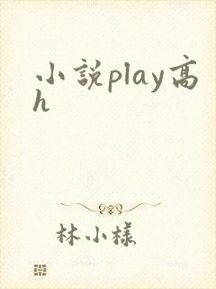 小说play高h封面
