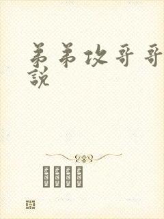 弟弟攻哥哥受小说