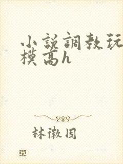 小说调教玩弄嫩模高h